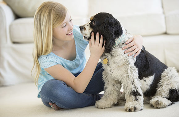 indoor air quality Chicopee, MA & Nearby